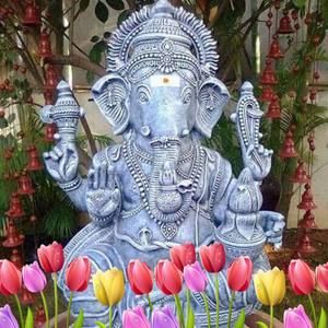 Meet your Posher, Panda